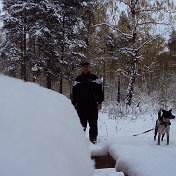 Владимир Шубин