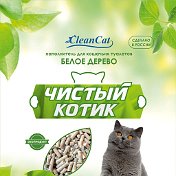 ЧИСТЫЙ КОТИК КрымКурскБрянскТверь