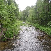 Александр Петров