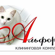 Клининговая компания АЛЬФОРА