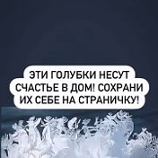 ГОЛУБЬ СВОИ