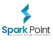 Spark Point Business Consultant