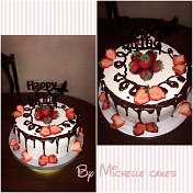 Michelle cakes 091103636