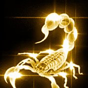skorpion 69