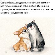 Анастасия Чайка