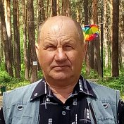 Анатолий Долин