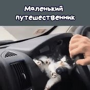 Вах Вах