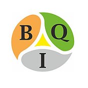 BQI IVT