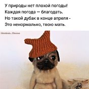 Нина Михайловна