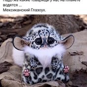 Евгений Иванов