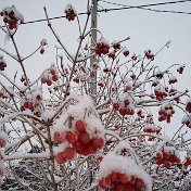 Светлана Шайхутдинова(Фаисханова)