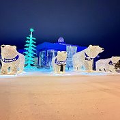 Наталья Петрякова (Доможирова)