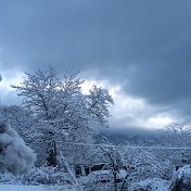 Александр Борисенков