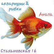 Аквариумы рыбки Магазин Goldfish Анапа