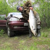 владимир сенцов