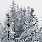 1 Дом агентство недвижимости