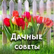 Дачные советы