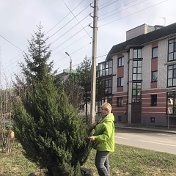 Елена Позднякова