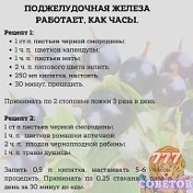 Светлана КУРДЮКОВА(Касимовай