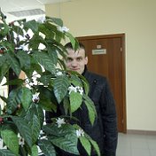 Алексей Шабаршев