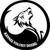 КОРГИ БОРДЕР KENNEL VOLCHIY DOZHD