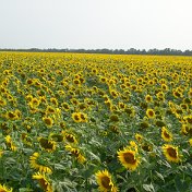 Наталья Загайнова(Беляева)