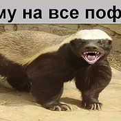 пятигоскях ву со пятигоркях ву со 