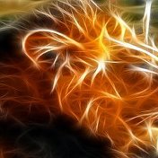 FIRE LION