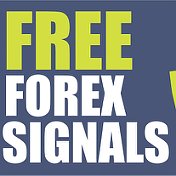 forex форекс трейдер