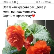 Светлана Валеева