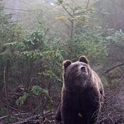 Валерий Тогмитов