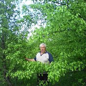 Алексей Климинченко