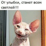 Евгений Ефимович