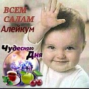 хамдия садртдинова