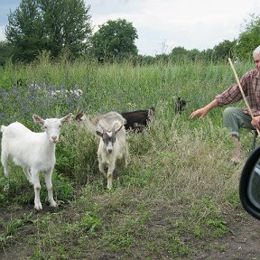 Фотография от Иван Калюжный