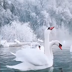 Фотография от Света Агеева