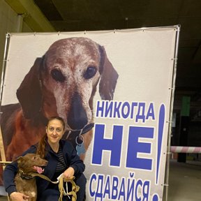 Фотография от Ростов-н/Д Инга В помощь животным