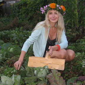 Фотография "В мами на дачі, 
видно тільки капусту, але я збирала сунички."