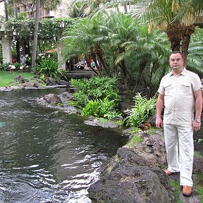 Фотография "Hawaii-2010.Hilton-Waikiki"