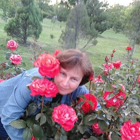 Фотография "В Анапе зацвели розы"