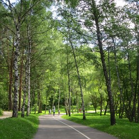 Фотография "в парке"