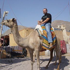 Фотография от Александр Новаковский