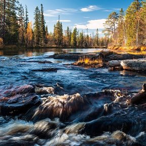 Фотография от Denis Викторович