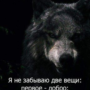 Фотография от Серый Волк