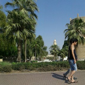 Фотография "парк ал мамзар"