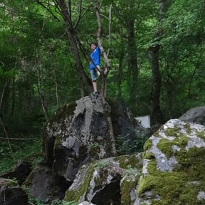 Фотография от giorgi buadze