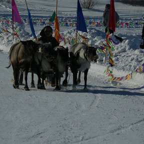 Фотография "праздник   народов  севера"