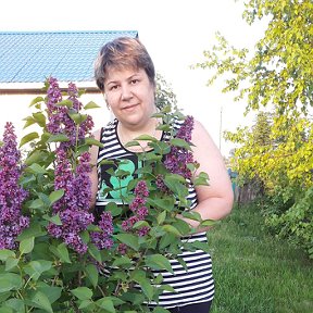 Фотография от Елена Андриенко