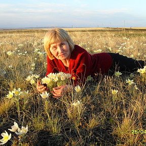 Фотография "подснежники"