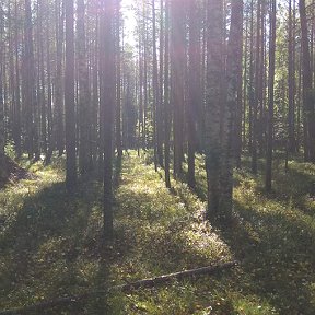 Фотография от Ярослав Сергеевич